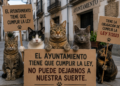 ayuntamiento-no-puede-mirar-lado-colonias-felinas