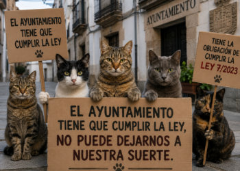 ayuntamiento-no-puede-mirar-lado-colonias-felinas