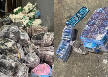 bandidos-impresos-droga-kilos-hachis-intervenidos-tanger-med