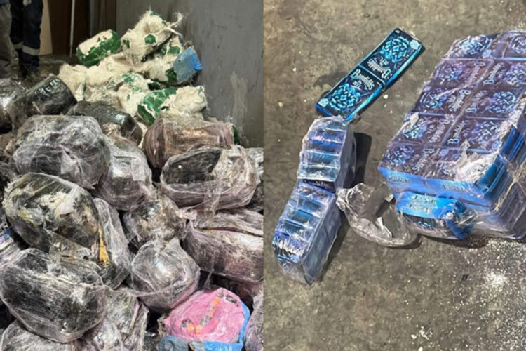 bandidos-impresos-droga-kilos-hachis-intervenidos-tanger-med