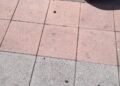 ciudad-elimina-alcorques-parques-ceuta-sustituyendo-arboles-cemento