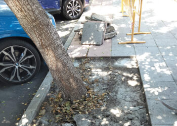 ciudad-elimina-alcorques-parques-ceuta-sustituyendo-arboles-cemento