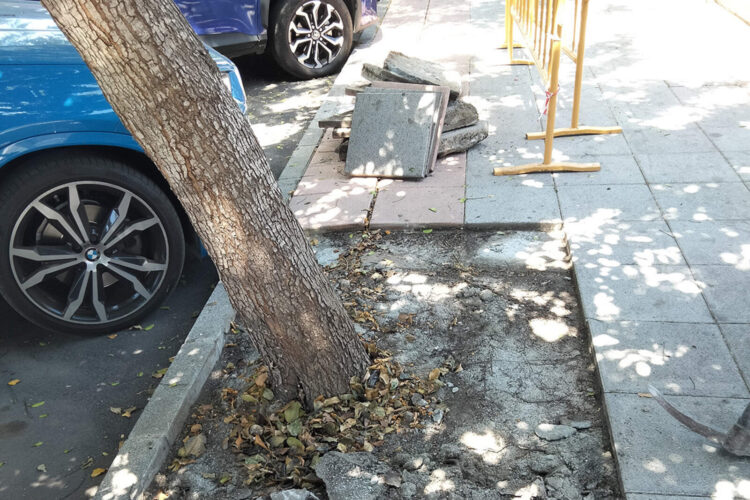 ciudad-elimina-alcorques-parques-ceuta-sustituyendo-arboles-cemento