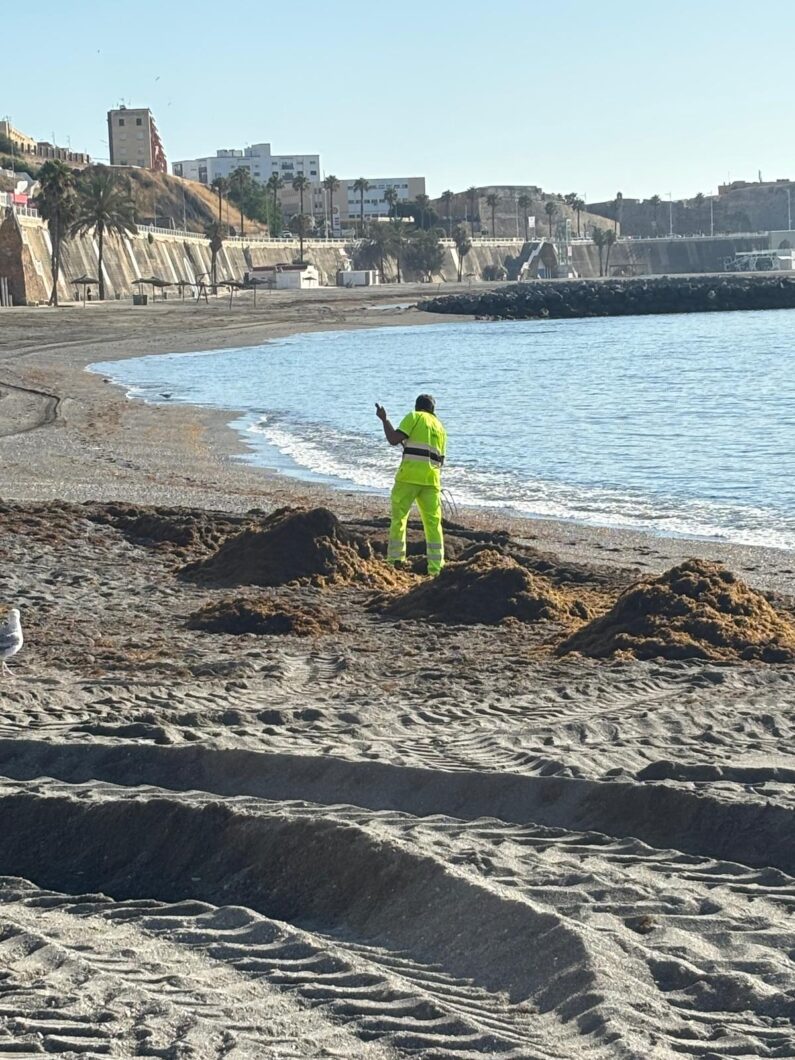 ciudad-retira-toneladas-alga-asiatica-playas-3