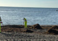 ciudad-retira-toneladas-alga-asiatica-playas-4
