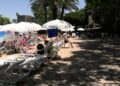 dia-parque-mayores-comparten-jornada-sol-risas-convivencia-11