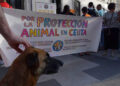 fotos-concentración-animalistas-Ayuntamiento Image 2026-06-11 at 20.39.56 (2)