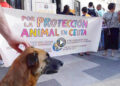 fotos-concentración-animalistas-Ayuntamiento Image 2026-06-11 at 20.39.56 (2)-portada-play