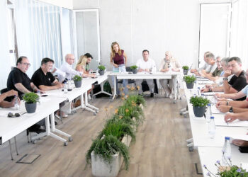 futuro-pino-bicentenario-proteccion-especies-primer-consejo-medio-ambiente-10
