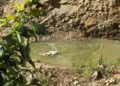 paciencia-agota-huerta-tellez-siete-meses-mosquitos-moscas-malos-olores-11