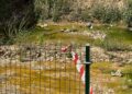 paciencia-agota-huerta-tellez-siete-meses-mosquitos-moscas-malos-olores-14