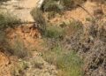 paciencia-agota-huerta-tellez-siete-meses-mosquitos-moscas-malos-olores-7