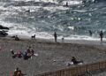 playa-perros-benedicto