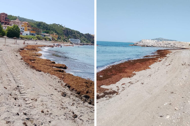 playa-trampolín-tarajal