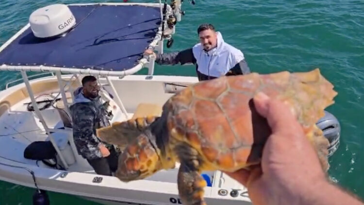 primera-tortuga-viva-temporada-llega-cecam-bahia-norte-00001