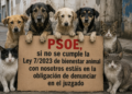psoe-ley-proteccion-animal