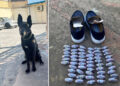 sagacidad-can-antidroga-policia-caza-pasador-hachis-3