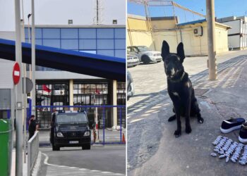 sagacidad-can-antidroga-policia-caza-pasador-hachis