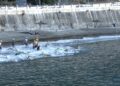 triatlon-super-sprint-ceuta-2026-32