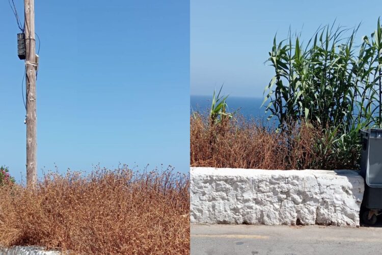 vecinos-sarchal-riesgo-incendio-vegetacion-seca-viviendas