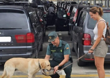 viajas-mascotas-ope-consejos-guardia-civil