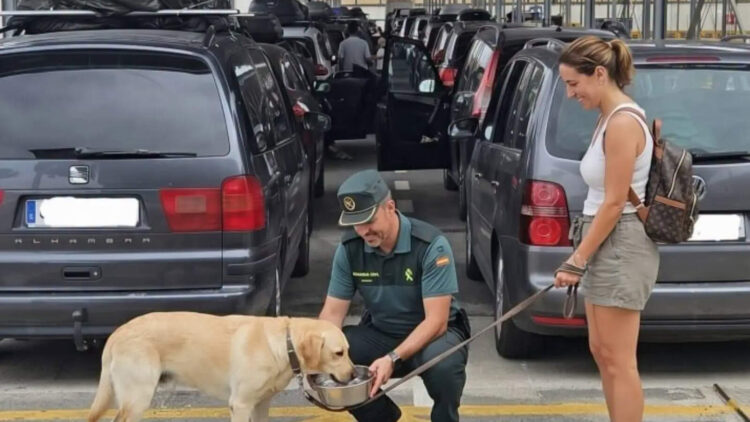 viajas-mascotas-ope-consejos-guardia-civil