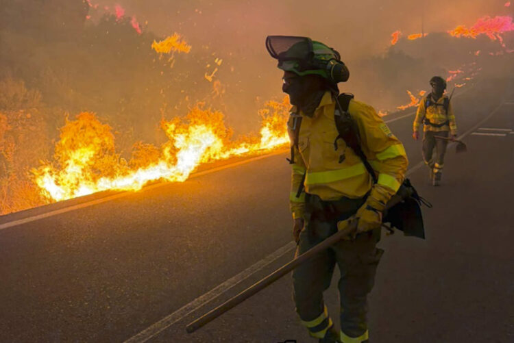 almeria-devastador-incendio-1