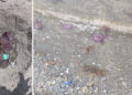 banistas-quejan-presencia-medusas-playas-4