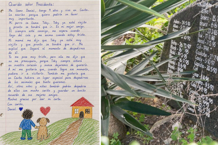 cartas-escriben-tinta-cartas-escriben-corazon-portada