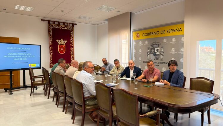 cece-destaca-mejoras-operativa-aduanera-reclama-mayor-representacion-ceuta