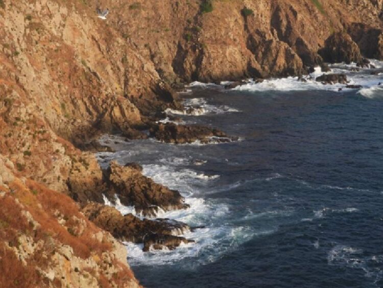 ecologistas-accion-coloca-banderas-negras-ceuta-2