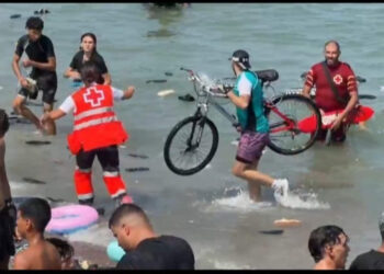 escribir-caliente-emergencia-migratoria