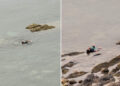 goteo-inmigrantes-frontera-sur-ceuta-punto-llegada-2