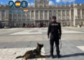 historia-kredit-perro-policia-nunca-abandono-gran-familia-cnp