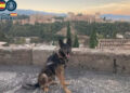 historia-kredit-perro-policia-nunca-abandono-gran-familia-cnp