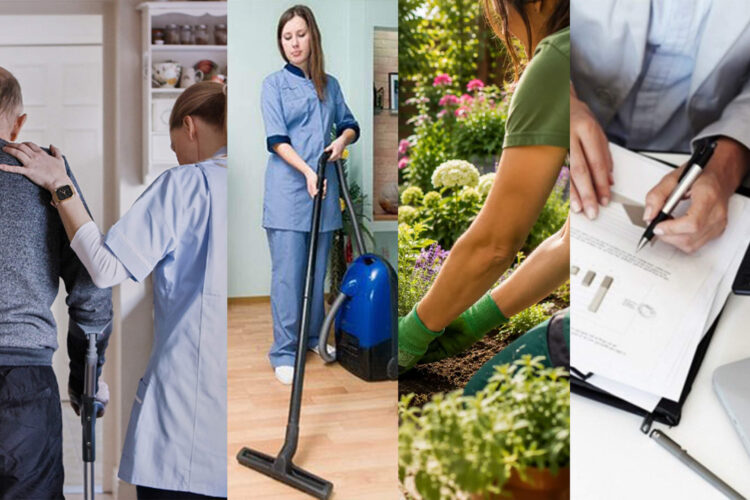imserso-cursos-empleo-personas-discapacidad