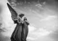 fallece-profesora-maria-rosario-moya-ramirez