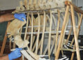 mar-proyectos-colaboracion-oscar-ocana-museo-mar-7