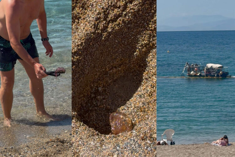medusas-amargan-domingo-poniente-banistas-playas