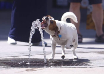 ola-de-calor-aviso-amarillo-temperaturas