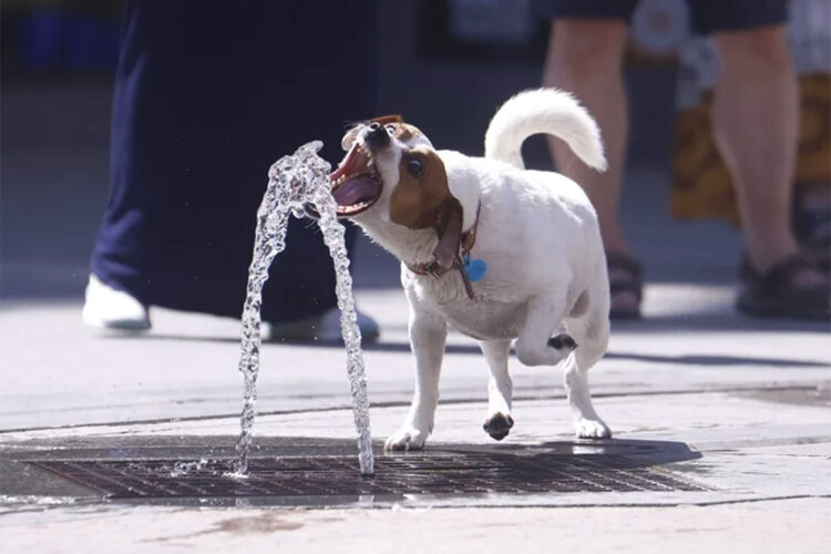 ola-de-calor-aviso-amarillo-temperaturas