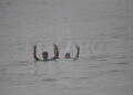 peor-crisis-migratoria-sufre-ceuta-inaccion-marruecos-fotos-frontera-inmigrantes-nado-guardia-civil-105