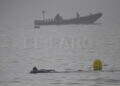 peor-crisis-migratoria-sufre-ceuta-inaccion-marruecos-fotos-frontera-inmigrantes-nado-guardia-civil-109