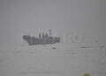 peor-crisis-migratoria-sufre-ceuta-inaccion-marruecos-fotos-frontera-inmigrantes-nado-guardia-civil-110