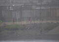 peor-crisis-migratoria-sufre-ceuta-inaccion-marruecos-fotos-frontera-inmigrantes-nado-guardia-civil-132