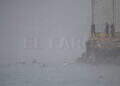 peor-crisis-migratoria-sufre-ceuta-inaccion-marruecos-fotos-frontera-inmigrantes-nado-guardia-civil-181