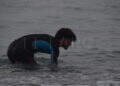 peor-crisis-migratoria-sufre-ceuta-inaccion-marruecos-fotos-frontera-inmigrantes-nado-guardia-civil-19