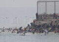 peor-crisis-migratoria-sufre-ceuta-inaccion-marruecos-fotos-frontera-inmigrantes-nado-guardia-civil-234