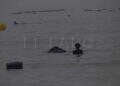 peor-crisis-migratoria-sufre-ceuta-inaccion-marruecos-fotos-frontera-inmigrantes-nado-guardia-civil-25