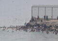 peor-crisis-migratoria-sufre-ceuta-inaccion-marruecos-fotos-frontera-inmigrantes-nado-guardia-civil-264
